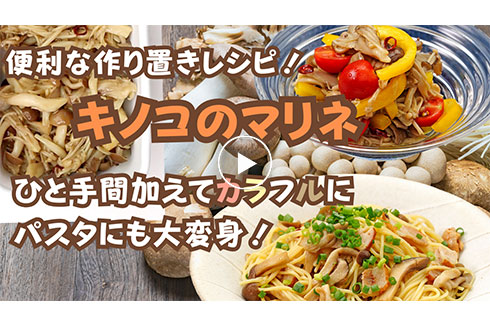【作り置き】便利な作り置きレシピ！ キノコのマリネ